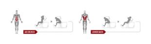 Пресс-машина Spirit Fitness DWS172-U2