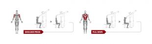 Баттерфляй/Задняя дельта Spirit Fitness DWS107-U2